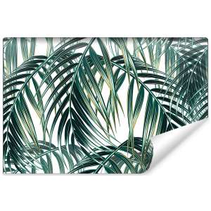 Fototapeta Liście Palmowe...