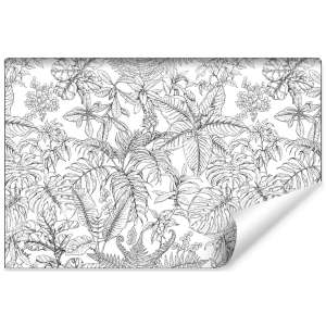 Fototapeta Liście Natura...