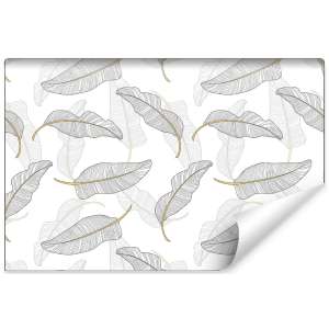 Fototapeta Liście Do Salonu...