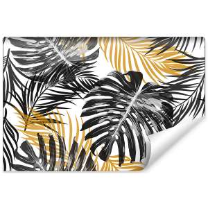 Fototapeta Liście Monstera...