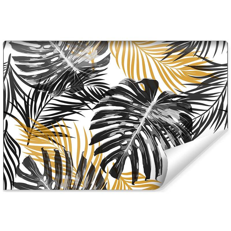 Fototapeta Liście Monstera