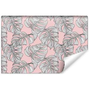 Fototapeta Liście Monstera...