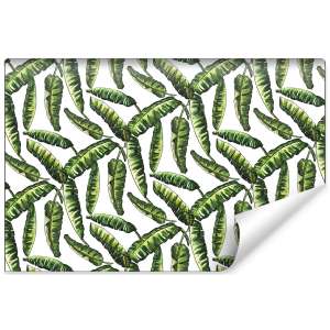 Fototapeta Liście Natura...