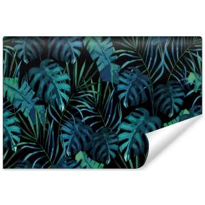 Fototapeta Liście Monstera...