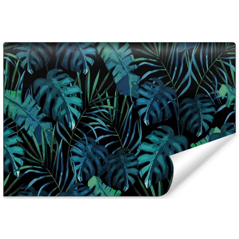 Fototapeta Liście Monstera