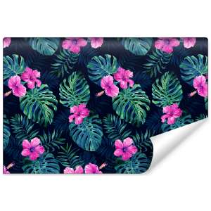 Fototapeta Liście Monstera...