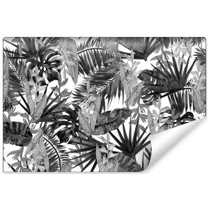 Fototapeta Liście...