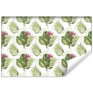 Fototapeta Liście Monstera...