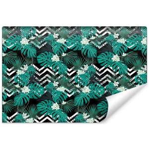 Fototapeta Liście Monstera...