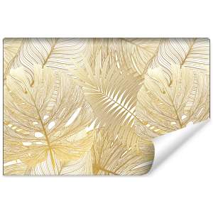 Fototapeta Liście Monstera...