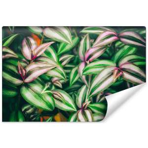 Fototapeta Liście...