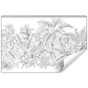 Fototapeta Liście Do Salonu...