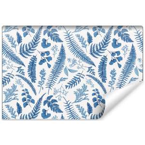 Fototapeta Liście Paproci...