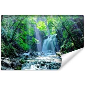 Fototapeta Wodospad w Lesie...