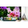 Fototapeta Kolorowe Orchidee 3D