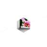 Fototapeta Kolorowe Orchidee 3D