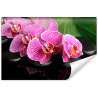 Fototapeta Orchidea Spa