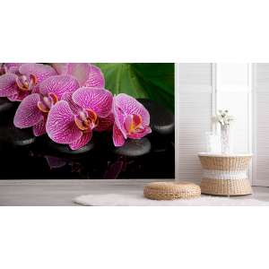 Fototapeta Orchidea Spa