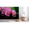 Fototapeta Orchidea Spa