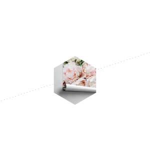 Fototapeta Kolorowe Piwonie