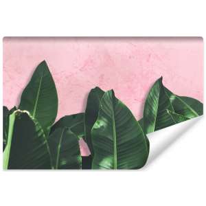 Fototapeta Rośliny...