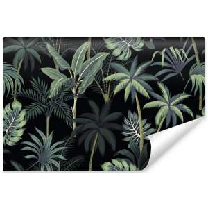 Fototapeta Drzewa i liście...