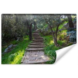 Fototapeta Schody w lesie...