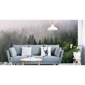 Fototapeta Drzewa we mgle...