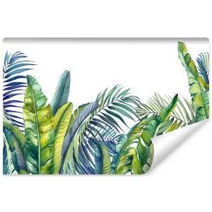 Fototapeta Zielone i...