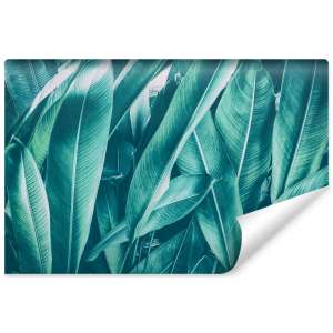 Fototapeta Egzotyczne...