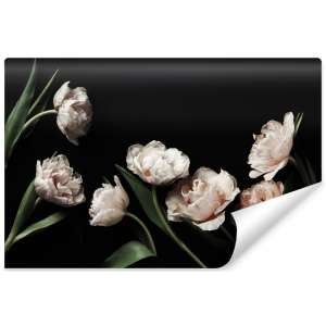 Fototapeta Peonie I Zielone Liście