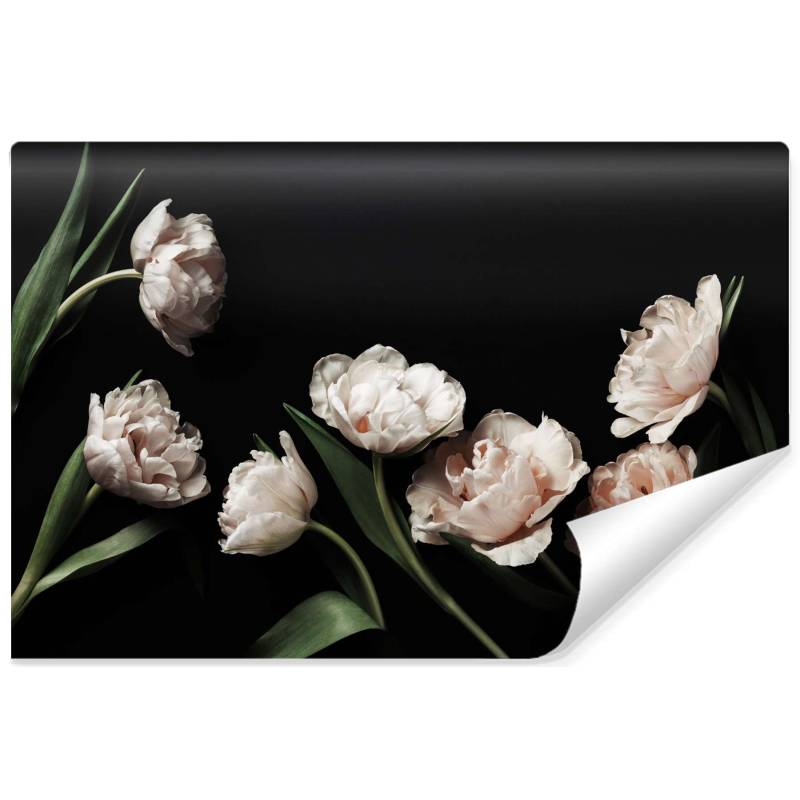 Fototapeta Peonie I Zielone Liście