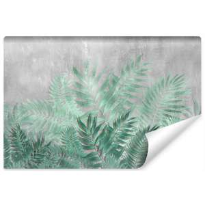 Fototapeta Paproć na tle...