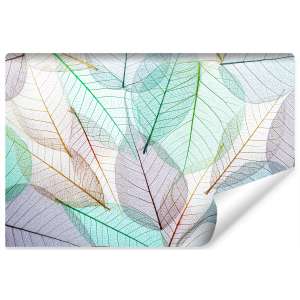 Fototapeta Kolorowe...