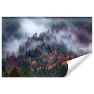 Fototapeta Jesienny las w...