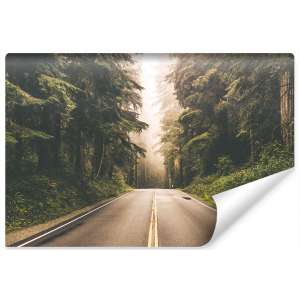 Fototapeta Droga w...