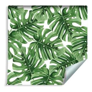 Tapeta Tropikalne Liście...