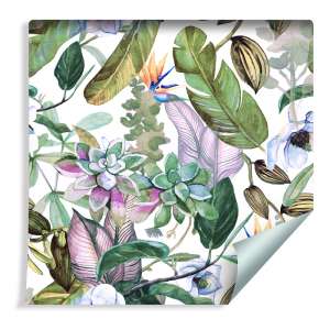 Tapeta Tropikalne Liście...