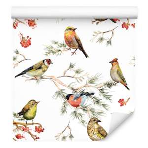 Tapeta – Wielobarwne Ptaki...