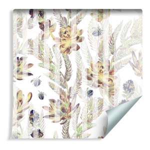 Tapeta Sukulenty I Paprocie...