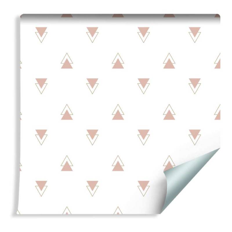 Tapeta Geometryczna - Nowoczesne Minimalistyczne Trójkąty
