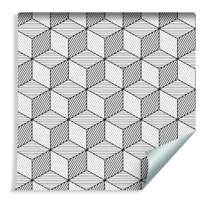 Tapeta Geometryczna-Czarno-Białe Sześciany