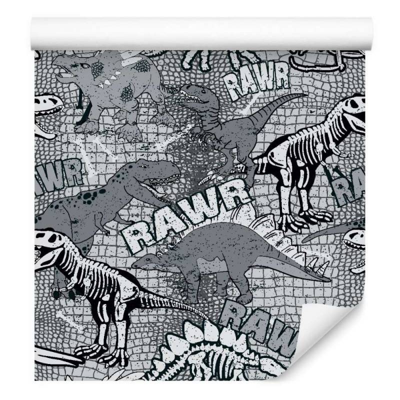 Tapeta Ścienna, Dinozaury, Do Pokoju Młodzieżowego