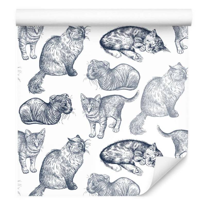 Tapeta Rasowe Koty