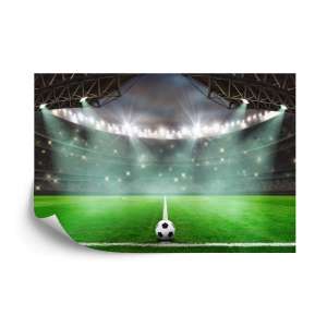 Fototapeta Stadion Piłka Nożna