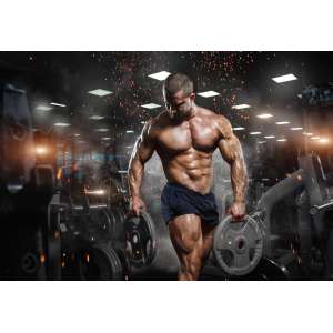 Fototapeta Umięśniony...