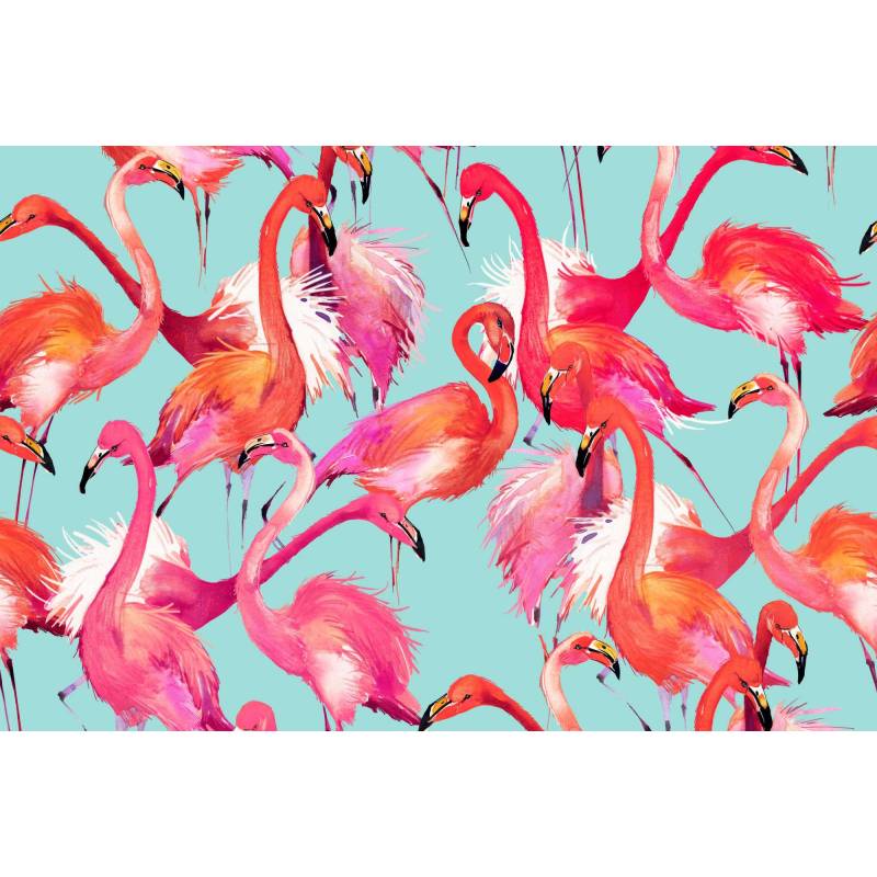 Fototapeta Flamingi