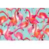 Fototapeta Flamingi
