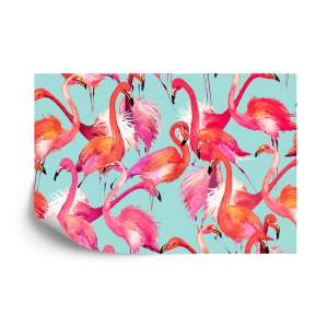 Fototapeta Flamingi