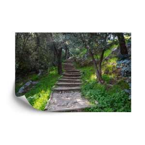 Fototapeta Schody W Lesie